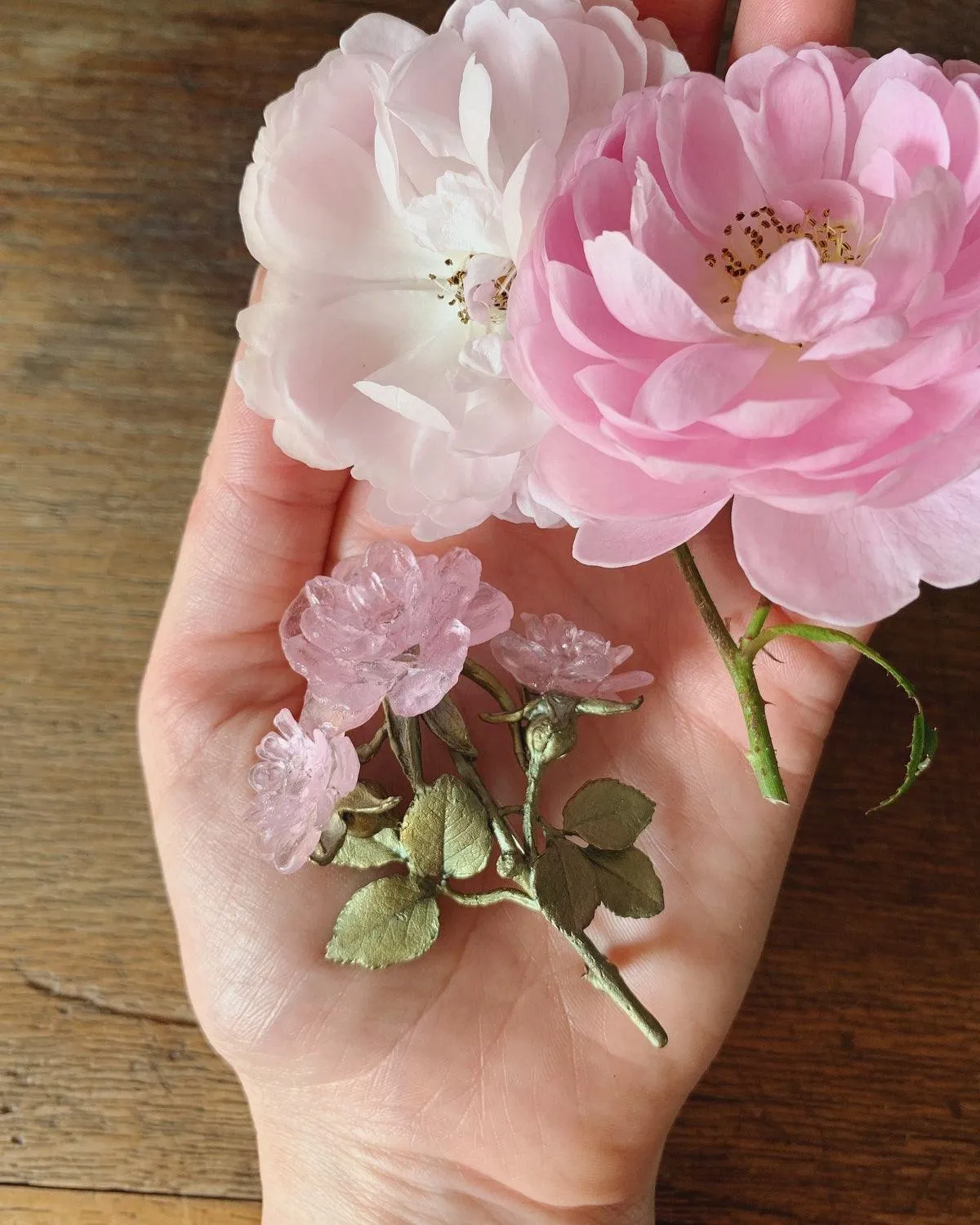 Blushing Rose Brooch - Statement