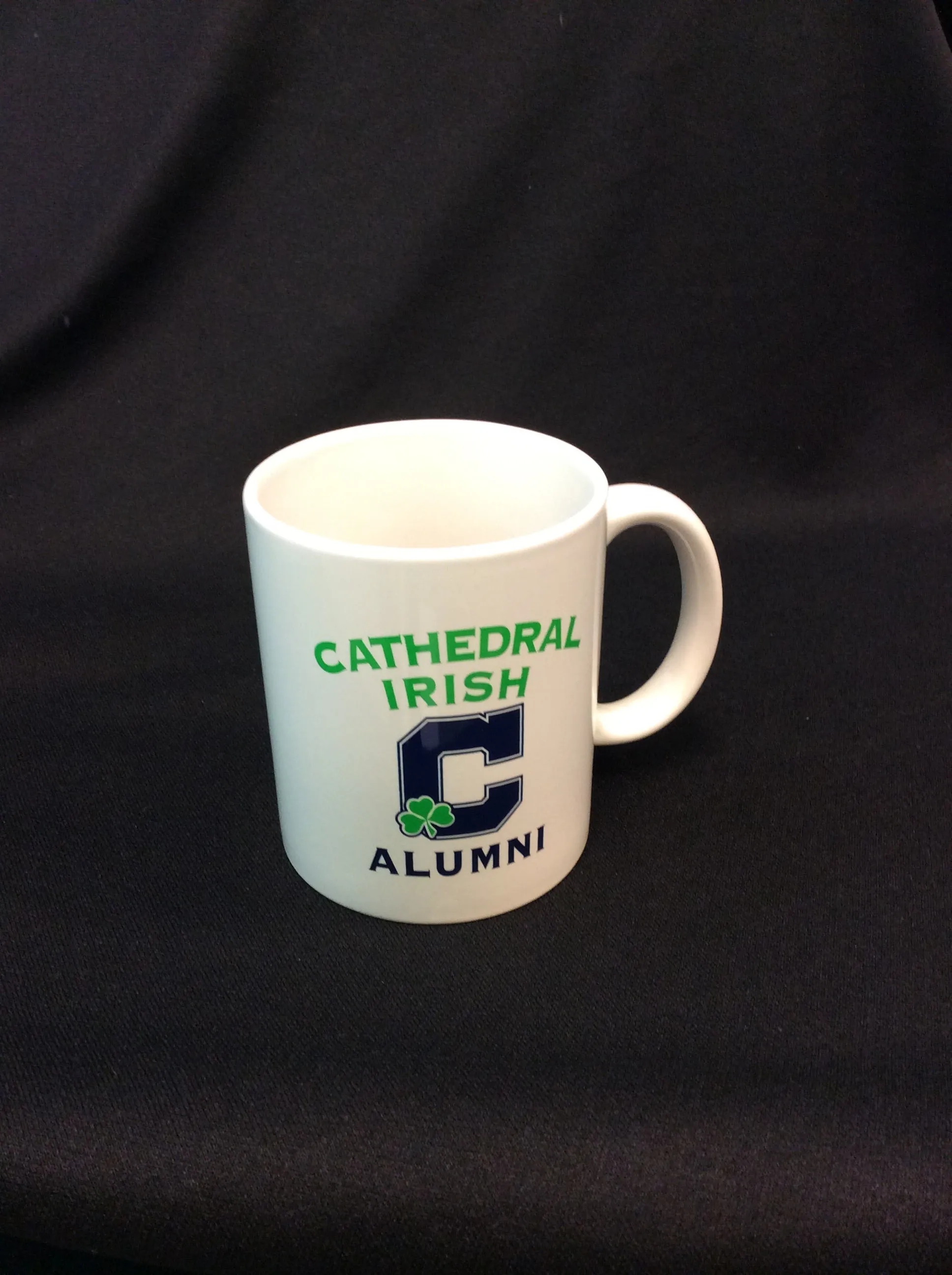 Cathedral Family Mug