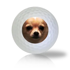 Chihuahua Golf Balls