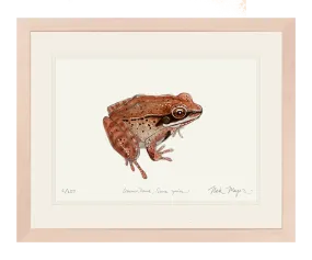 NEW! Wood Frog Original Watercolor Painting