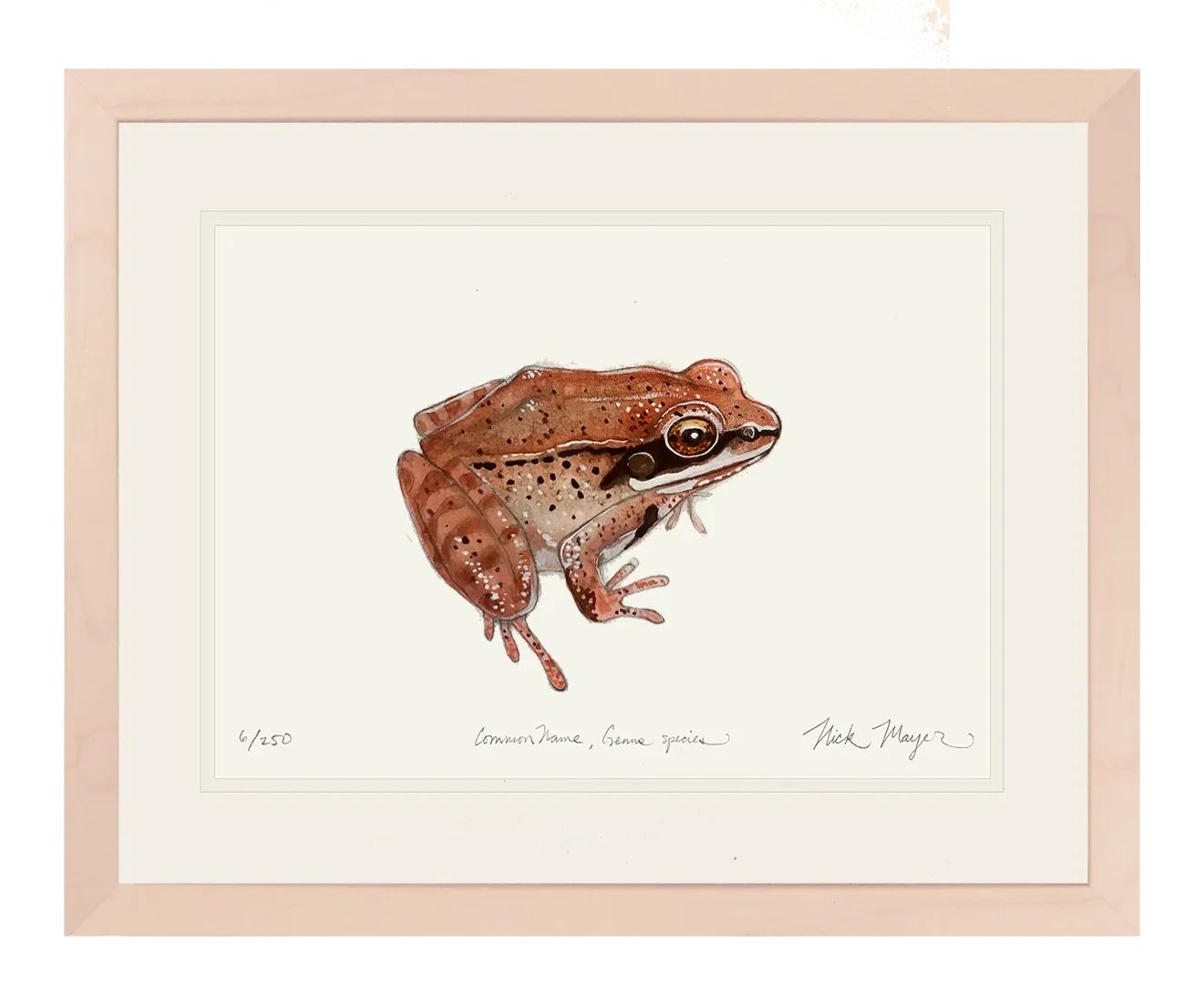 NEW! Wood Frog Original Watercolor Painting